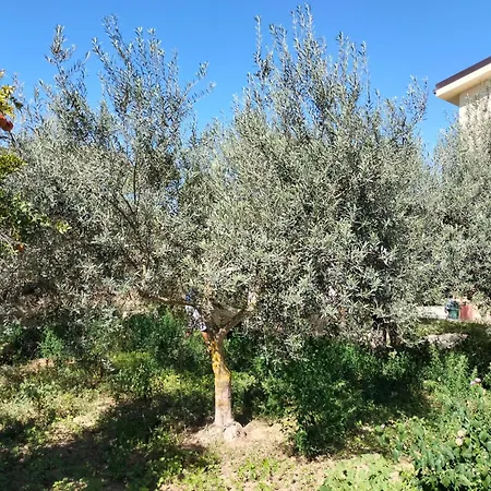 A Casa Mia Semesterbostad Butera